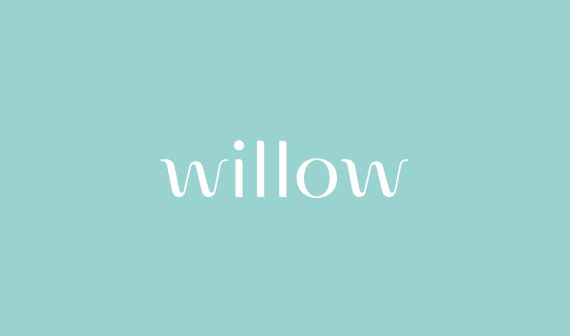 Office Willow Logo