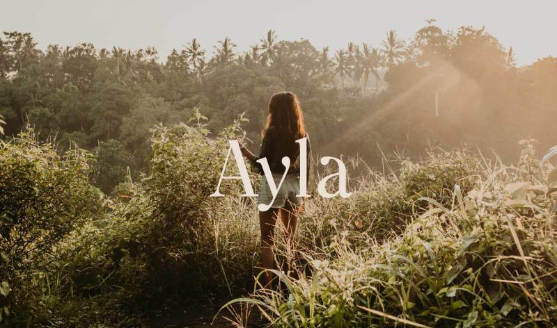 Office Ayla Logo