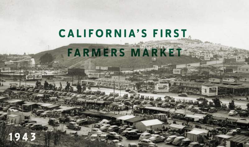 Office Foodwise Alemany Peoples Market V2