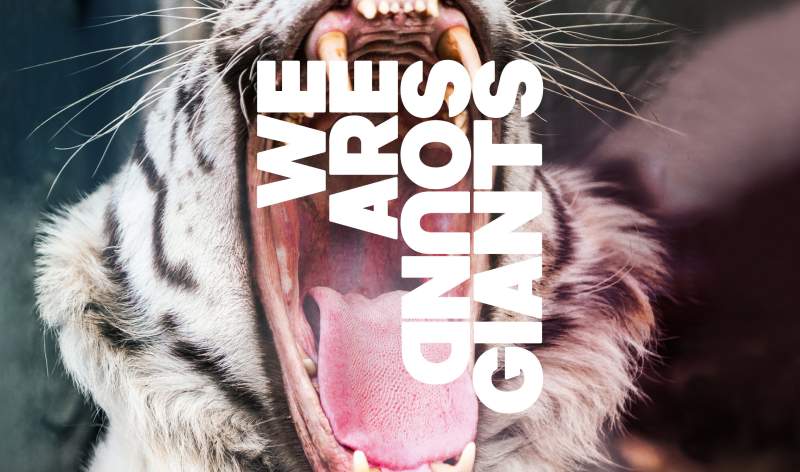 Office SoundGiants Branding Graphics - Tiger